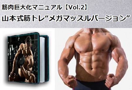 メガマッスルプロジェクト・第2.png